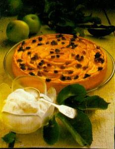 apfel-quark-kuchen (kuchen)