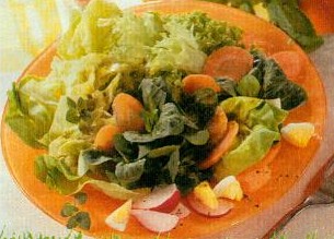 bunte blattsalate mit pesto-dressing (salat)